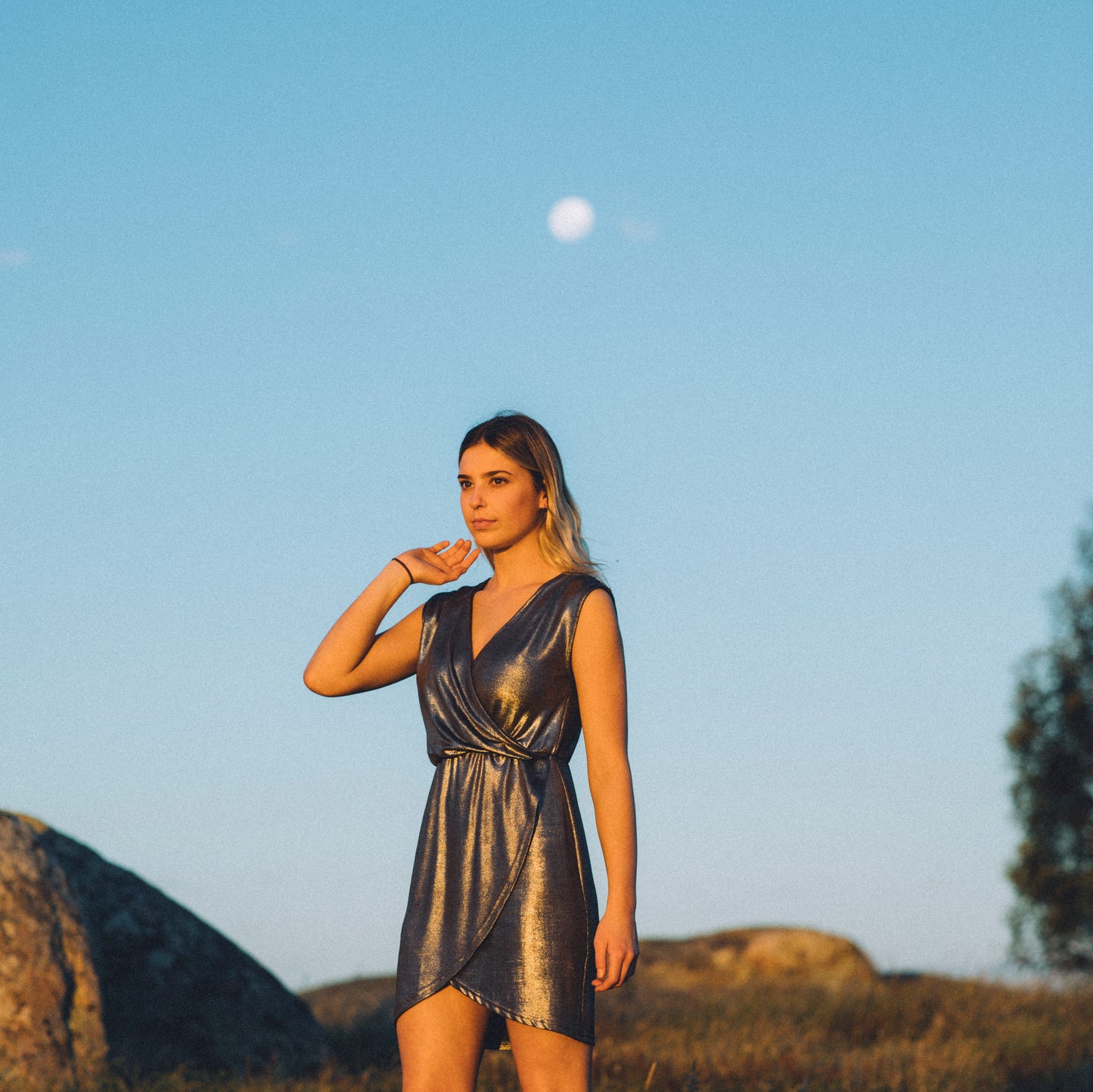 Spicy Sugar Metallic Dress